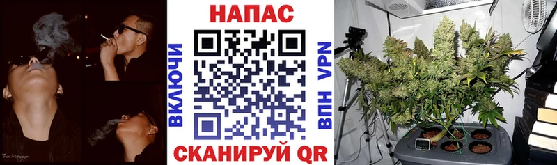 Наркошоп купить ГАШИШ  NBOMe  АМФ  Мефедрон  Галлюциногенные грибы  A PVP  МАРИХУАНА  Алагир